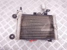 Радиатор масляный BMW X3-series (E83) 17 21 3 448 627