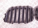 Решетка радиатора BMW X5-series (E53) 51 13 7 113 734