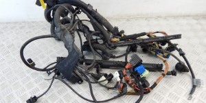 Проводка двигателя BMW X5-series (E53) 12 51 7 531 986