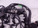 Проводка двигателя BMW X5-series (E70) 12 51 7 806 081
