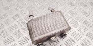 Теплообменник АКПП BMW X5-series (E53) 17 20 7 500 754